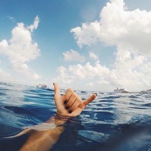 Meet your Posher, Peyton